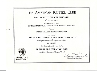 SmallPicture of Rhys earning 3rd BN leg